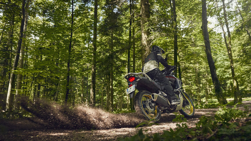 DEINE TRANSALP AB CHF 11'090.-